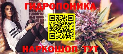 Альфа ПВП Новоалександровск