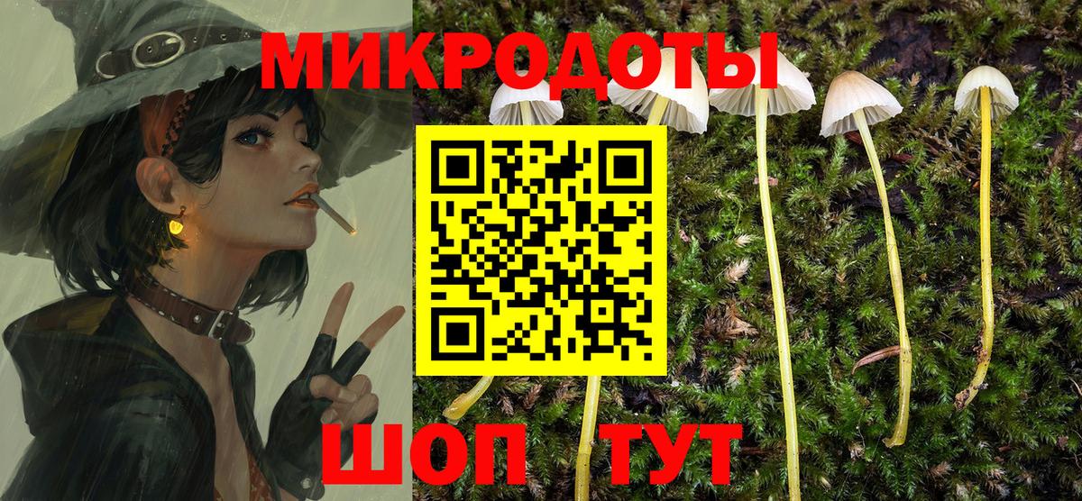 Псилоцибиновые грибы мицелий Белорецк